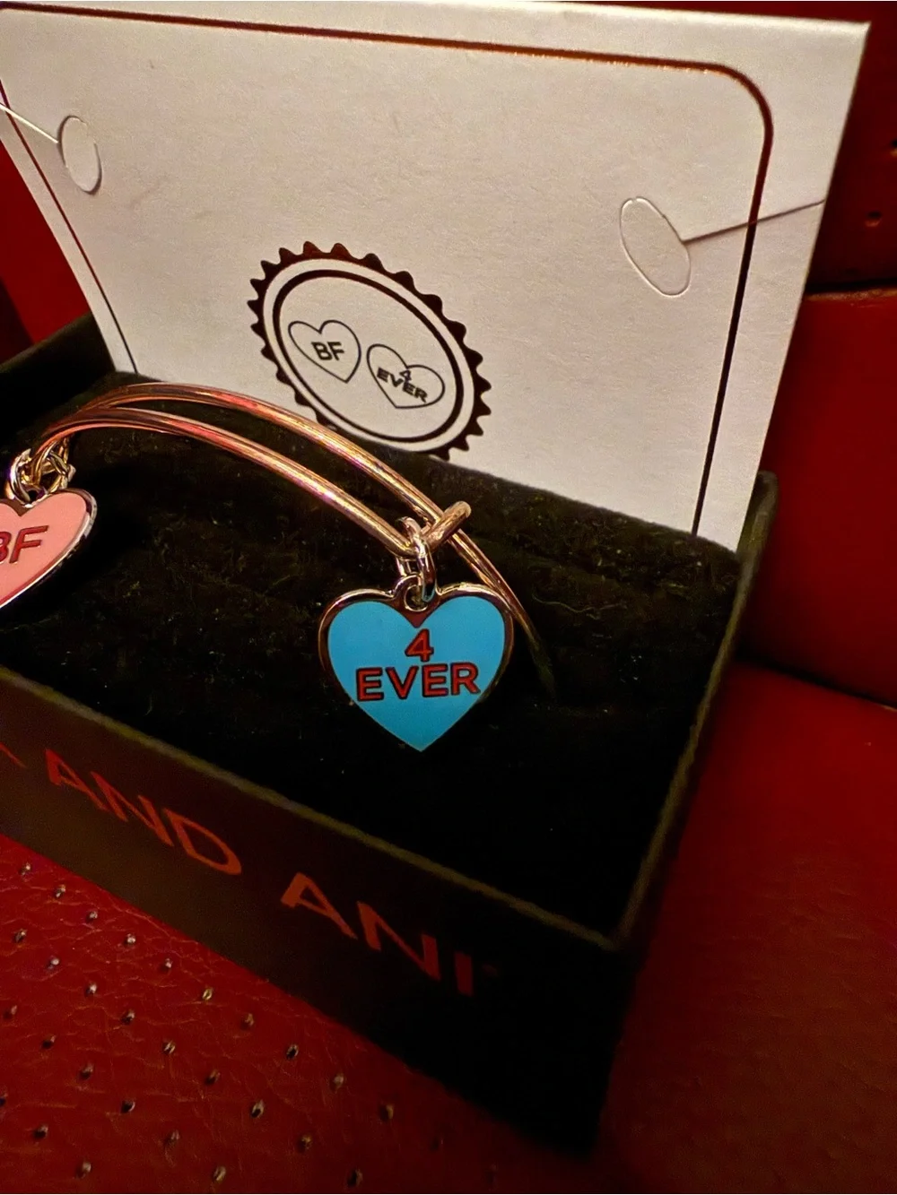 Alex and Ani Color Infusion Best Friends Duo Charm Expandable Bracelet